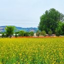 다래목장 이미지