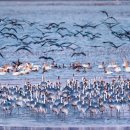 저수지상회 이미지