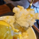 마담코코 | 파스쿠찌 요거트 코코 망고빙수 후기, 상큼함과 달콤함의 완벽한 조합