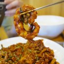 낙지세상 이미지