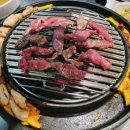 정사장네갈매기 이미지
