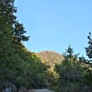 경숙농장 이미지