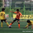 용인(강릉) 이미지