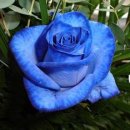 당신이 있어 좋은세상 이미지