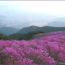 한 우리 이미지