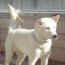 차지킴이 이미지