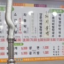 불타는도야지 이미지