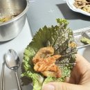 김꼬네시래기김밥