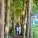 함양산양삼협회 영농조합법인 | 2024년 5월 24일 국내 웰니스 소식