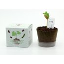 팜팜농장 이미지