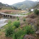 부동산밴드공인중개사사무소 이미지