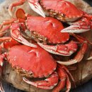 제주사람수다 이미지