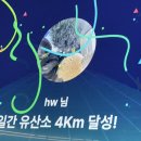 윙꾸춥춥