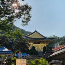 향기로운 염원 | 서울/은평 재물운 기도로 유명한 황금사원 부처님오신날 미리 다녀온 후기 : 수국사