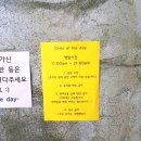 그날의온도