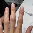 양산물금네일샵 추천 네일더찬란 이달의 아트 받고왔어요