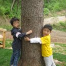 가락본동어린이집 이미지