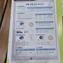 강동구 뇌파검사 브레인 톡 스트레스 측정 수면 힐링 후기