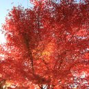 천안박물관 이미지