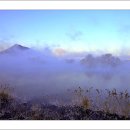 하얀낭만 이미지