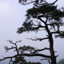 080610신선봉(제천) 이미지