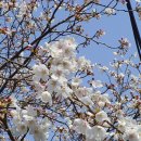 편안한모텔 이미지