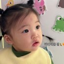 테리몰