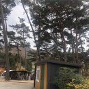 물댄동산펜션B 이미지
