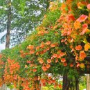 충북도립대학교 이미지