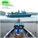 8/22일포항선상낚시 포항배낚시 포항바다낚시 양포항뉴웨이브호신나고잼난시장고등어잔고등어낚시 이미지