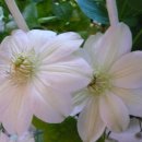 개울건너 이미지