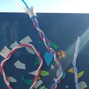 꿈이 자라는 나무 이미지