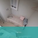 스테이파르크