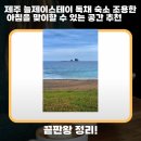 늘제이스테이