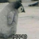 PC명당 이미지