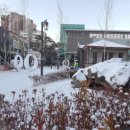 엽연초하우스 이미지