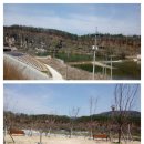 안동백조마을 이미지