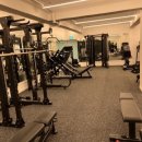 나인핏 피티 이미지