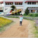 피터팬랜드 어린이집 이미지