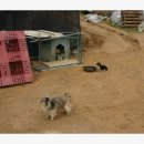 낙양농장 이미지