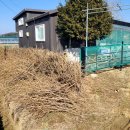 산수리농장 이미지