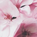 까치산역 4번출구 이미지