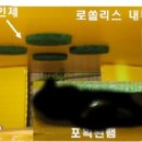 도도환경시스템 이미지