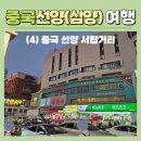 한백고기마트 | [중국/선양(심양) 여행 #04] 중국 최대 코리아타운 서탑거리(西塔街) 쇼핑, 맛집 特味抻面鸡架城