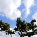 이순신공원 이미지