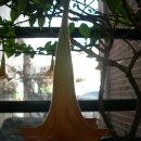 열미리보건진료소 이미지