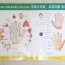 수지침 이미지