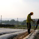 서원농장 이미지