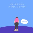 매일다이어트