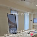 스킨엔젤라 이미지